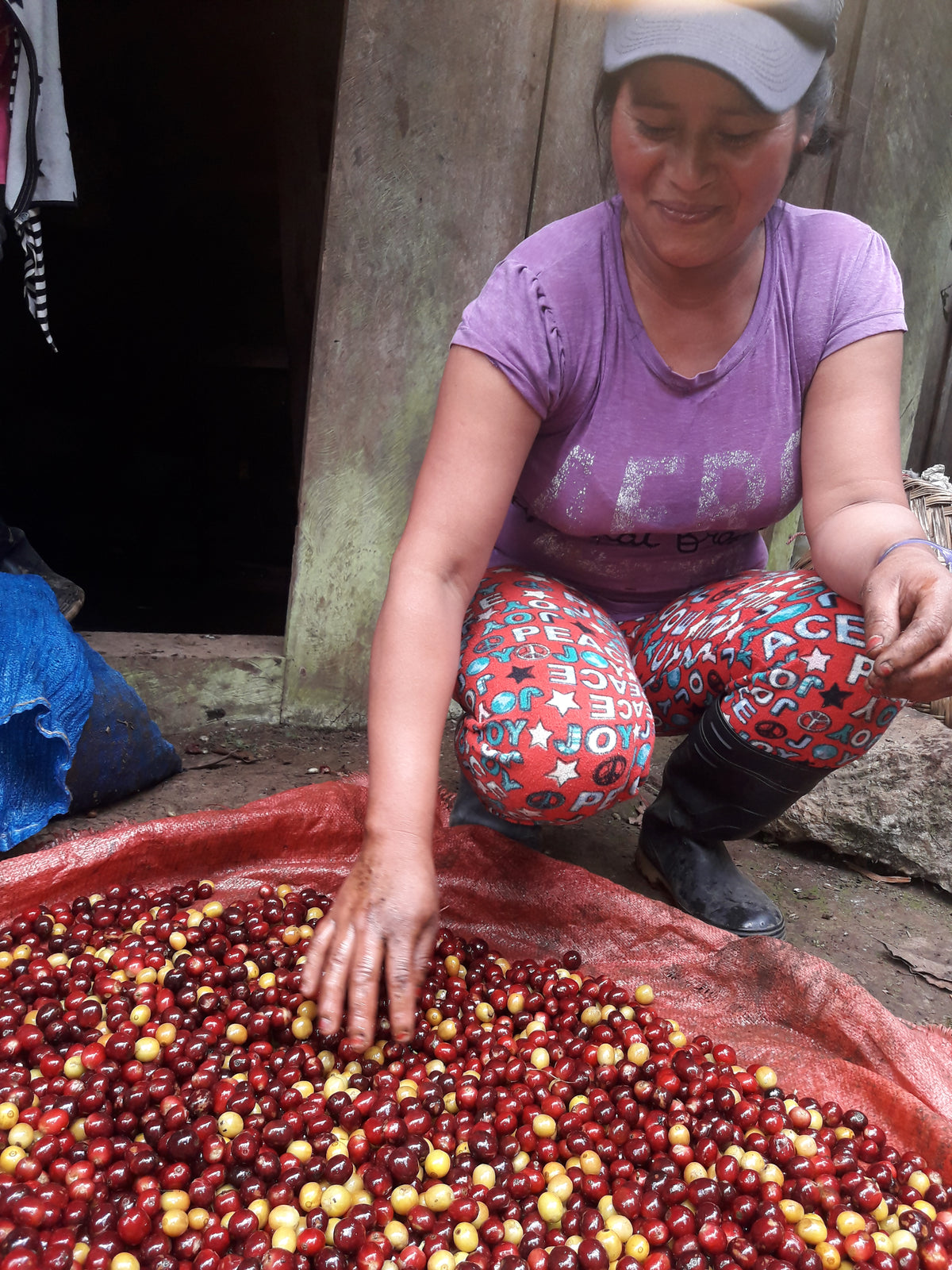 Nicaragua Gold Mountain Natural (150g) - Coffee Cycle Roasting