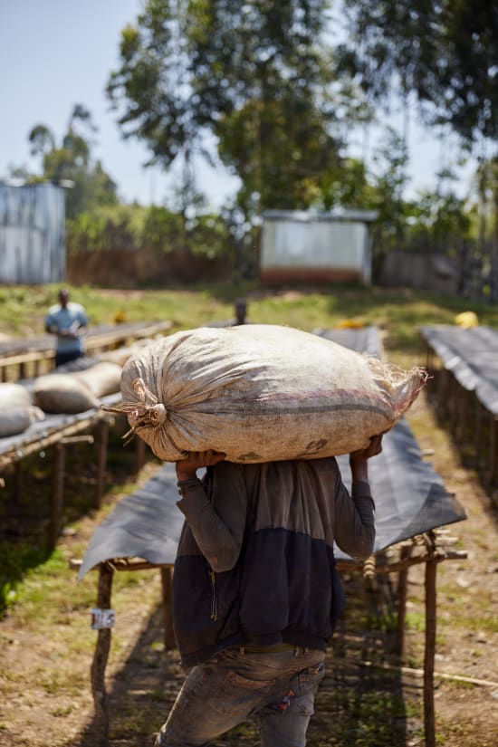 Ethiopia Ayla Bombe Natural (250g) - Coffee Cycle Roasting