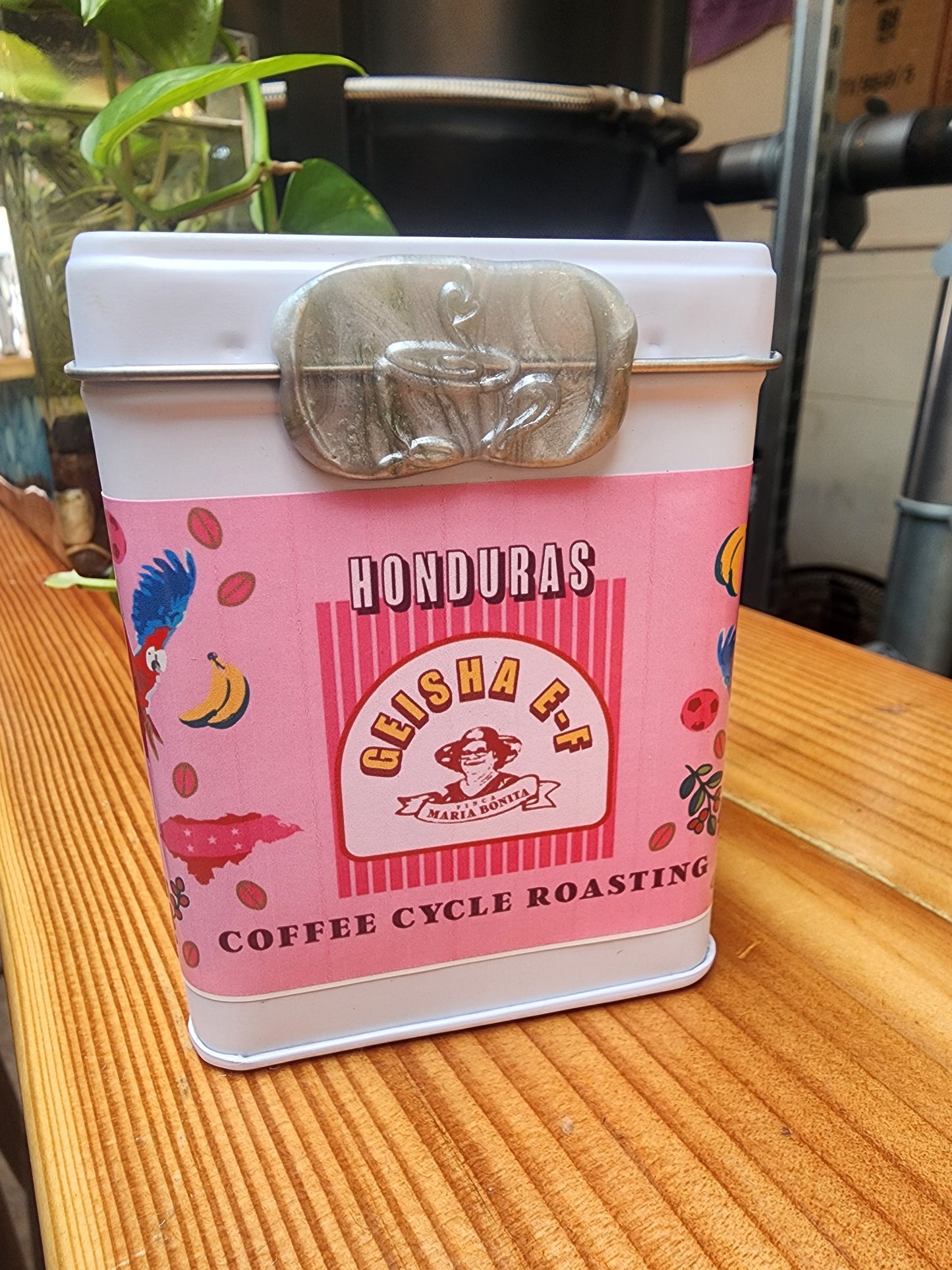 Honduras Geisha E-F by Pedro Turcios (150g) - Coffee Cycle Roasting