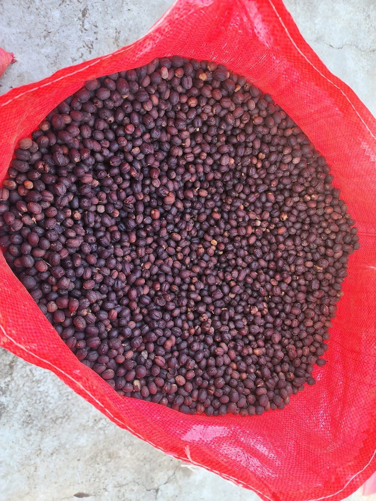 Honduras Geisha E-F by Pedro Turcios (150g) - Coffee Cycle Roasting