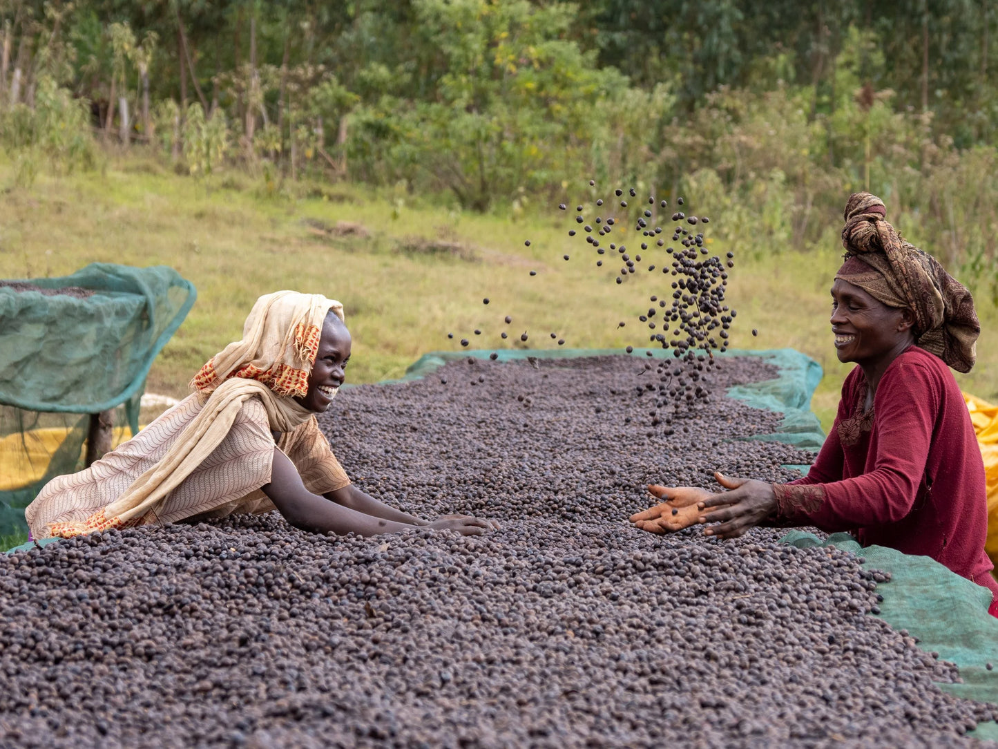 Ethiopia Harsu Wekilo Natural (250g) - Coffee Cycle Roasting