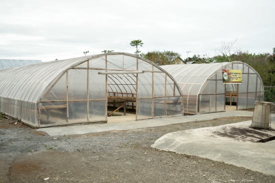 Sumatra Asman Gayo Washed (250g) - Coffee Cycle Roasting