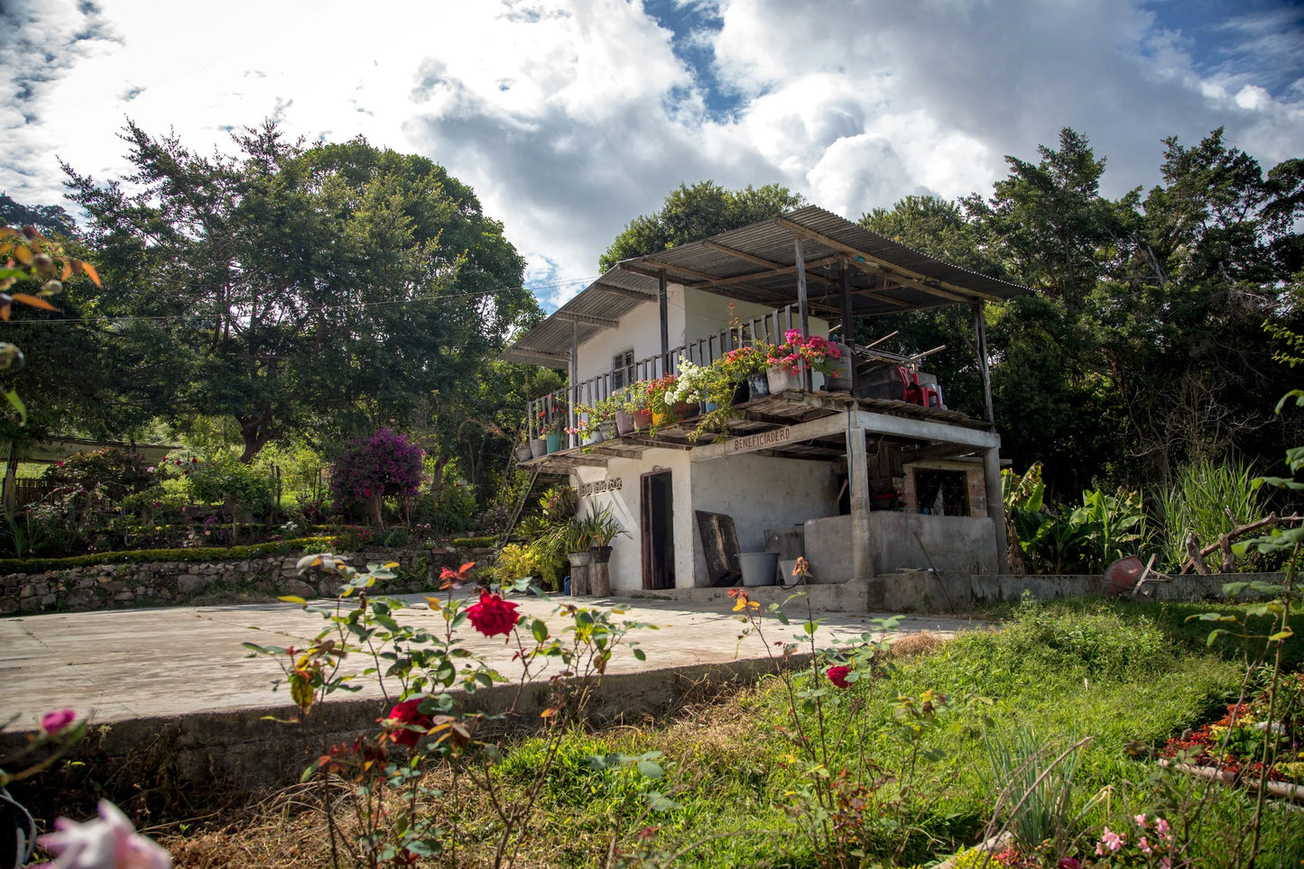 Colombia Asprotimana Mujeres (2.2LBS or 5LBS BULK) - Coffee Cycle Roasting