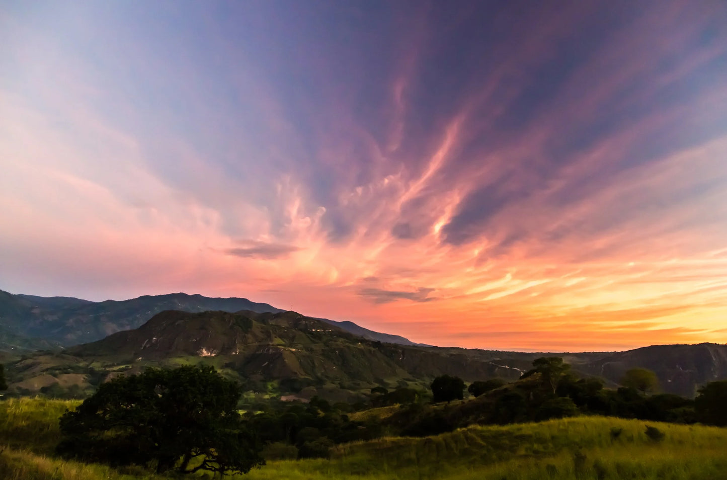 Colombia Asprotimana Mujeres (250g) - Coffee Cycle Roasting