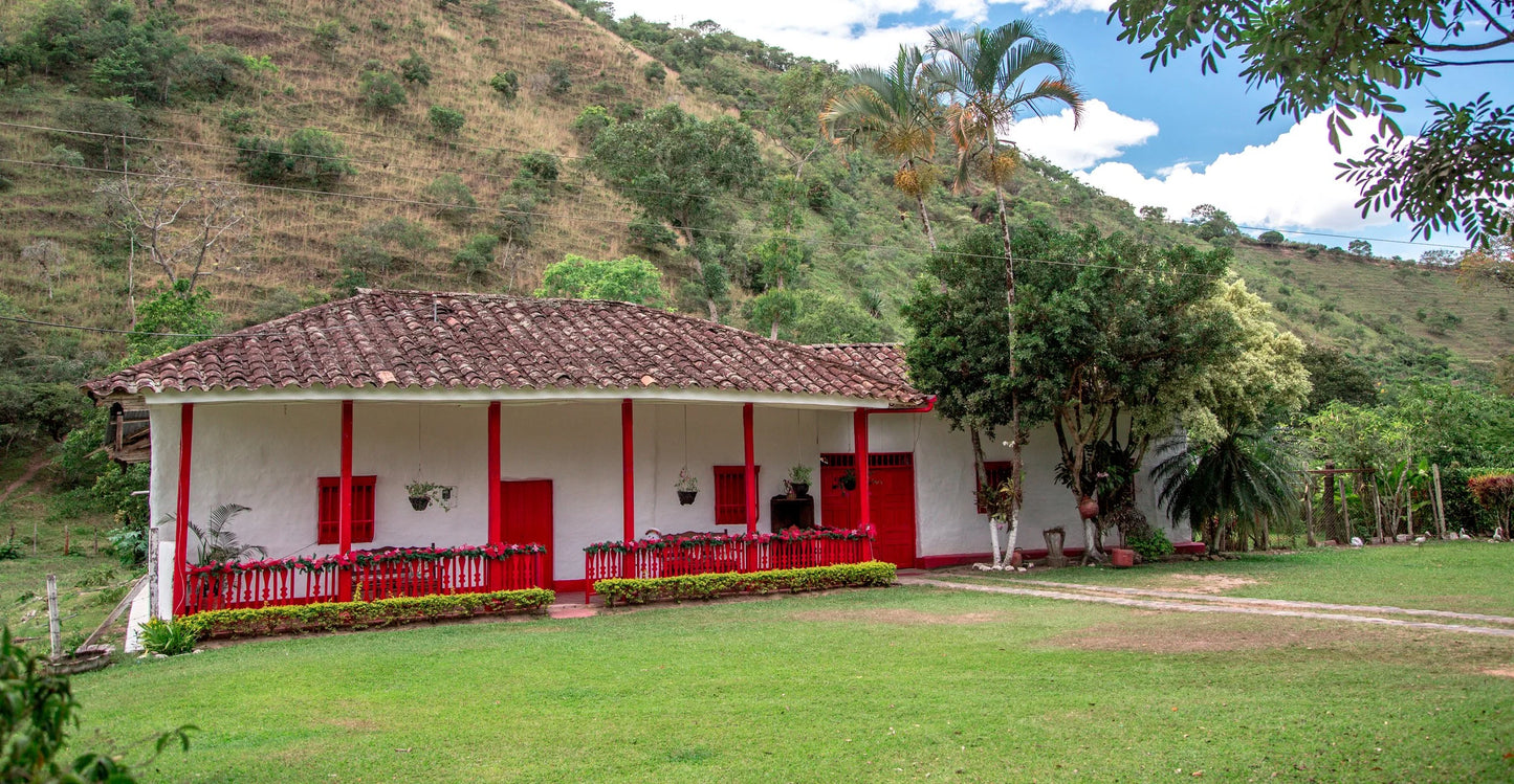 Colombia Asprotimana Mujeres (250g) - Coffee Cycle Roasting