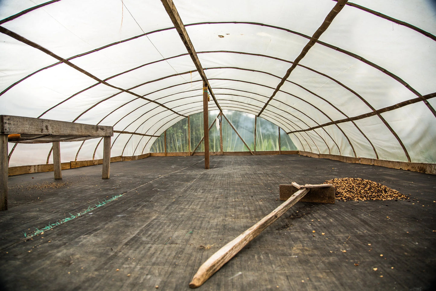 Colombia Asprotimana Mujeres (250g) - Coffee Cycle Roasting