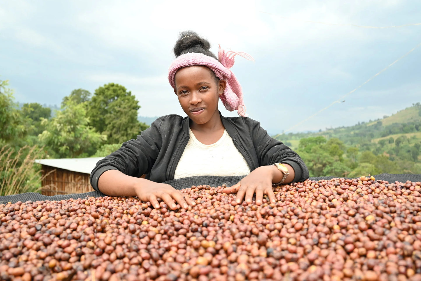 Ethiopia Harsu Wekilo Natural (250g) - Coffee Cycle Roasting