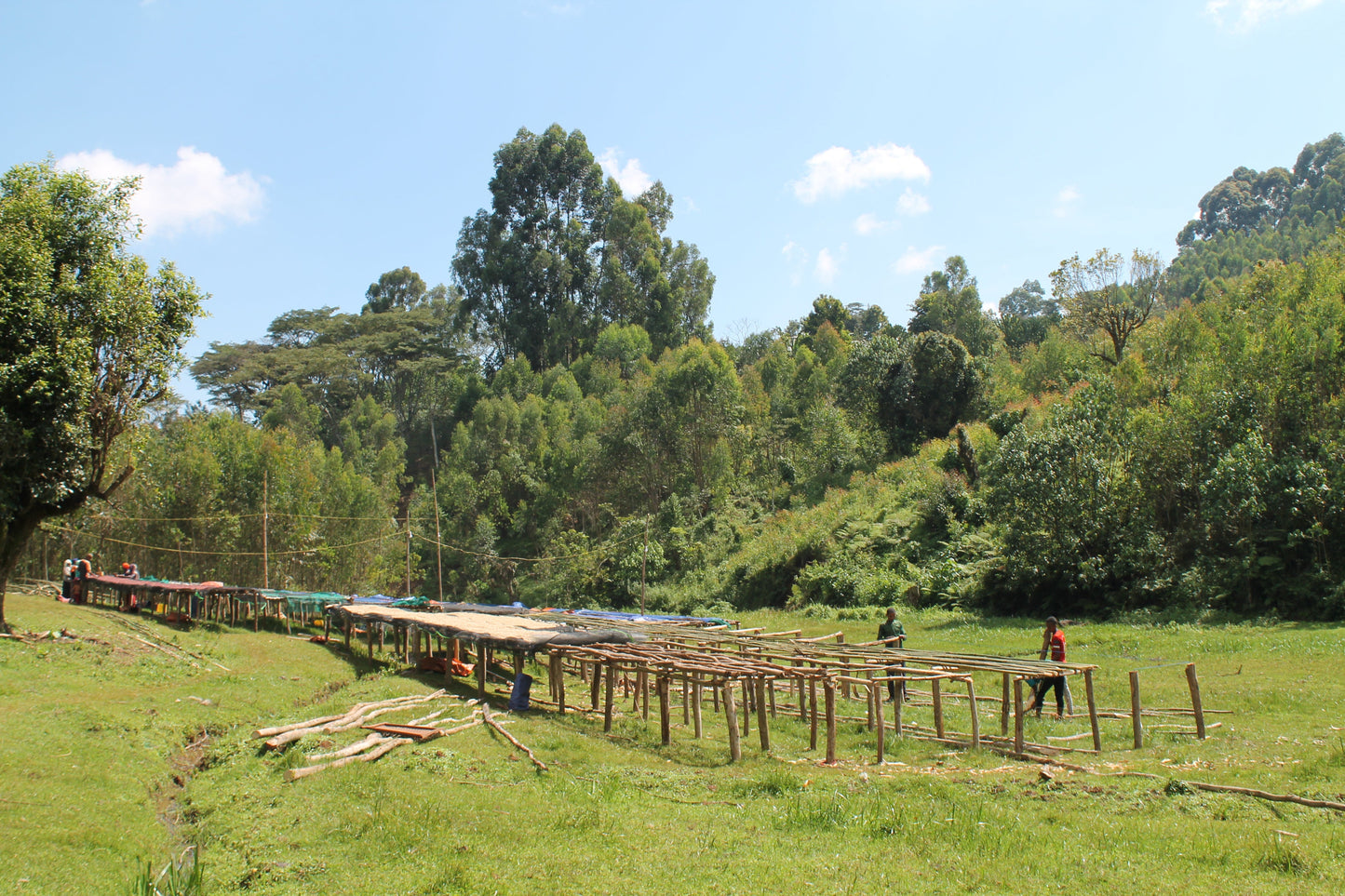 Ethiopia Natural Lalesa (150g) - Coffee Cycle Roasting