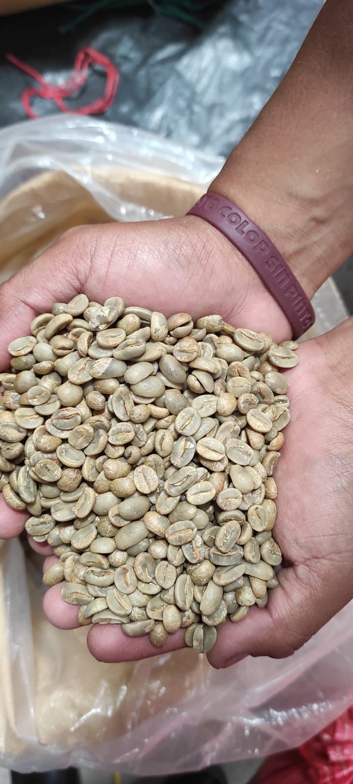 Nicaragua Gold Mountain Natural (150g) - Coffee Cycle Roasting