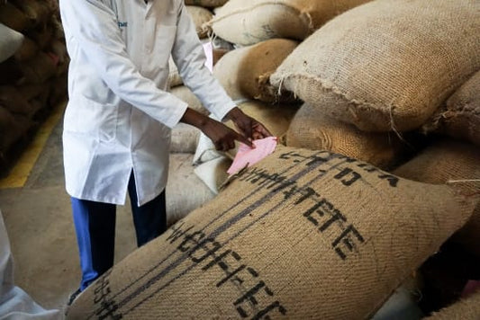 Kenya Gachatha AA 250g (Coffee Cycle Roasting Co.)