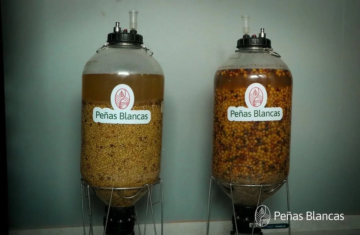 Colombia Peñas Blancas Mossto (250g) - Coffee Cycle Roasting