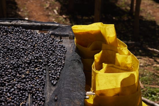 Ethiopia Arsosala Natural (250g) - Coffee Cycle Roasting