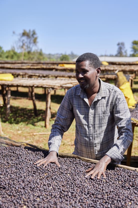 Ethiopia Arsosala Natural (250g) - Coffee Cycle Roasting