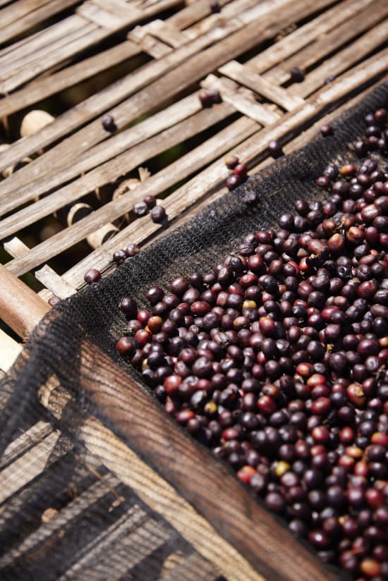 Ethiopia Arsosala Natural (250g) - Coffee Cycle Roasting