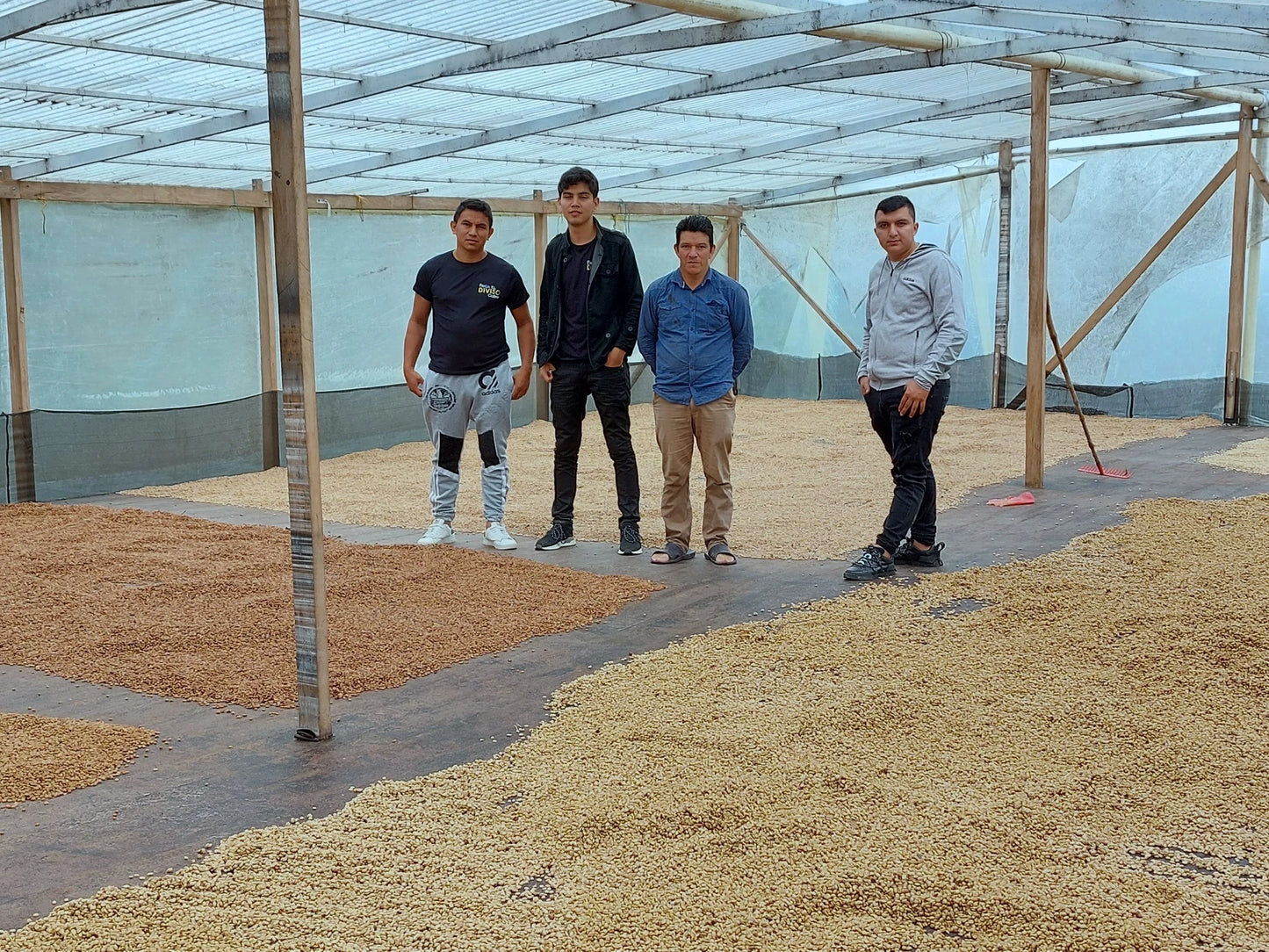 Colombia Nestor Lasso El Diviso DF Caturra (250g) - Coffee Cycle Roasting