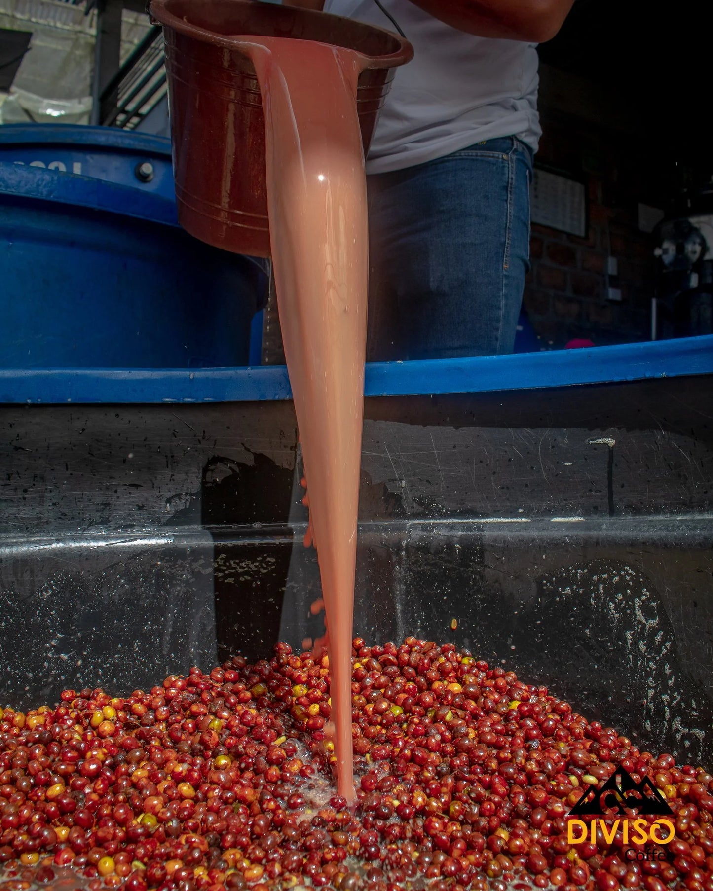 Colombia Nestor Lasso El Diviso DF Caturra (250g) - Coffee Cycle Roasting