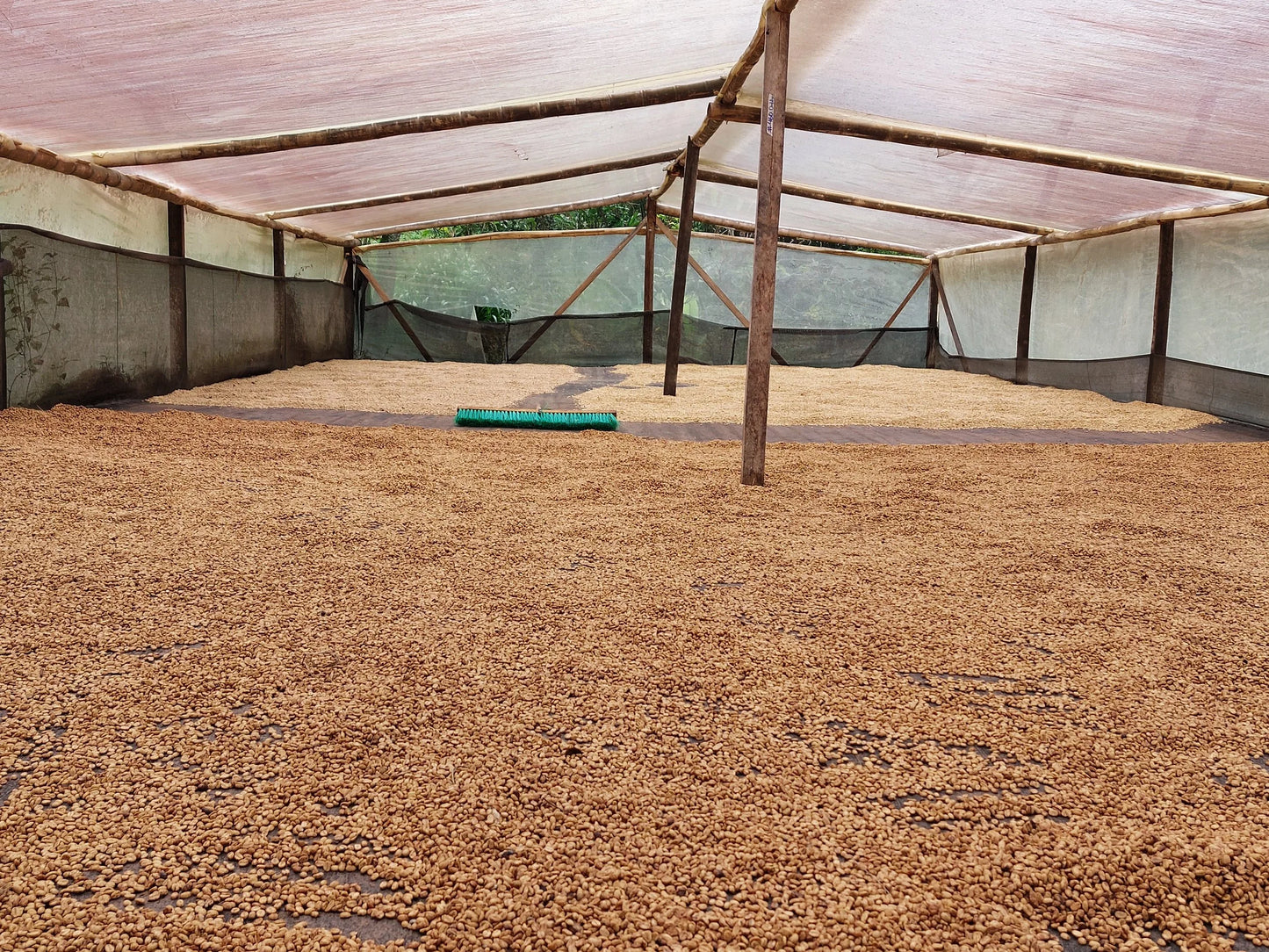 Colombia Nestor Lasso El Diviso DF Caturra (250g) - Coffee Cycle Roasting