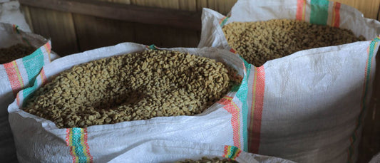 Indonesia Flores — Bajawa Eko Heto Washed (250g) - Coffee Cycle Roasting
