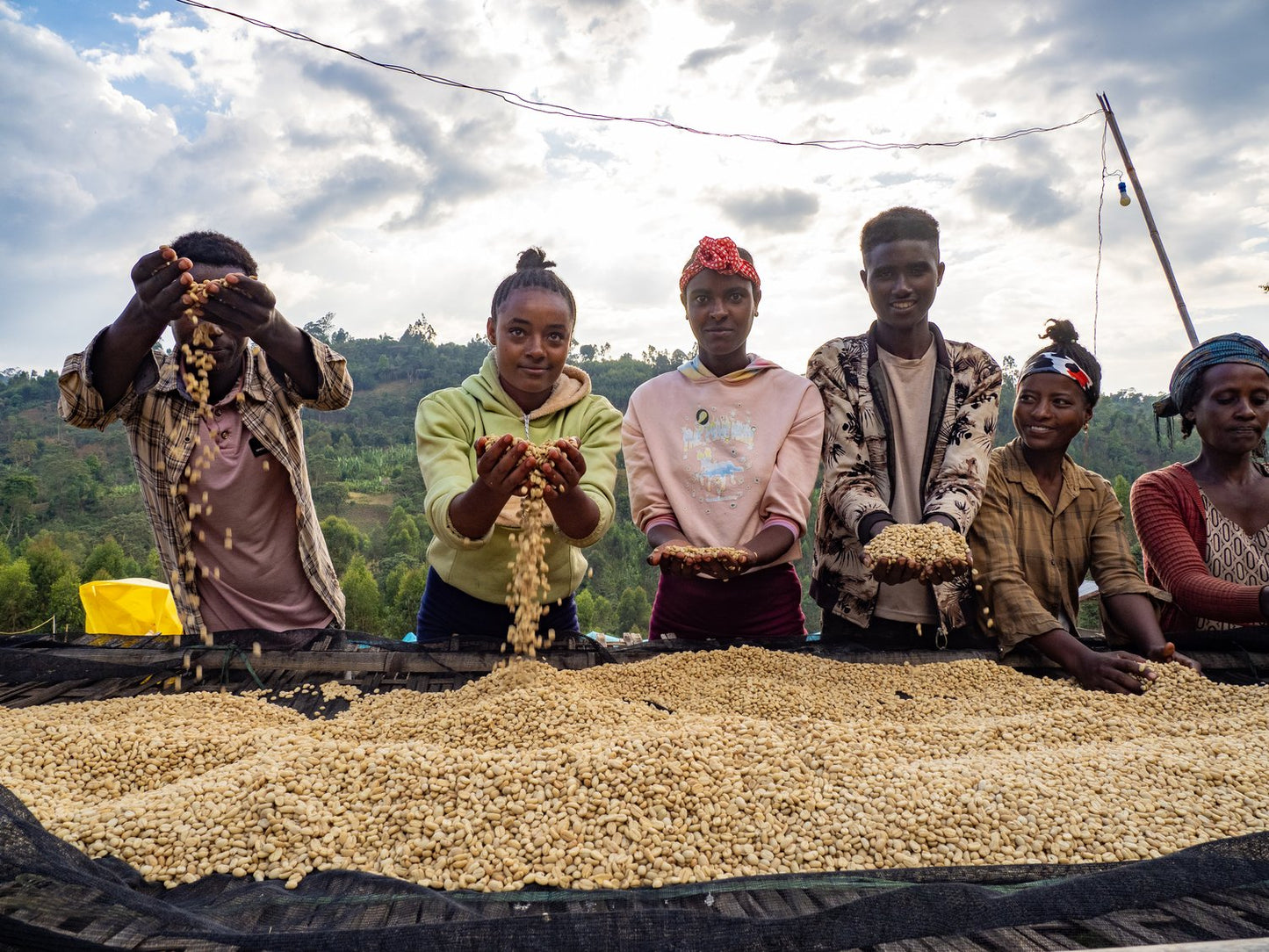 Ethiopia Shantawene (250g) - Coffee Cycle Roasting