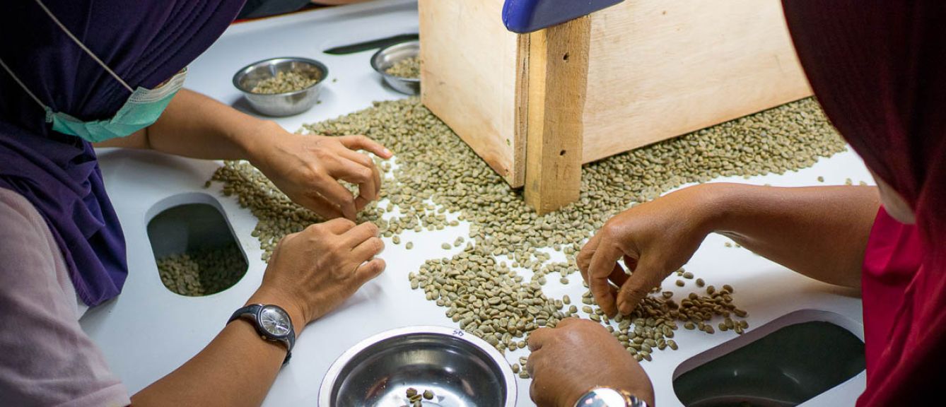 Sulawesi Tana Luwu Tibussan Village Washed (250g) - Coffee Cycle Roasting