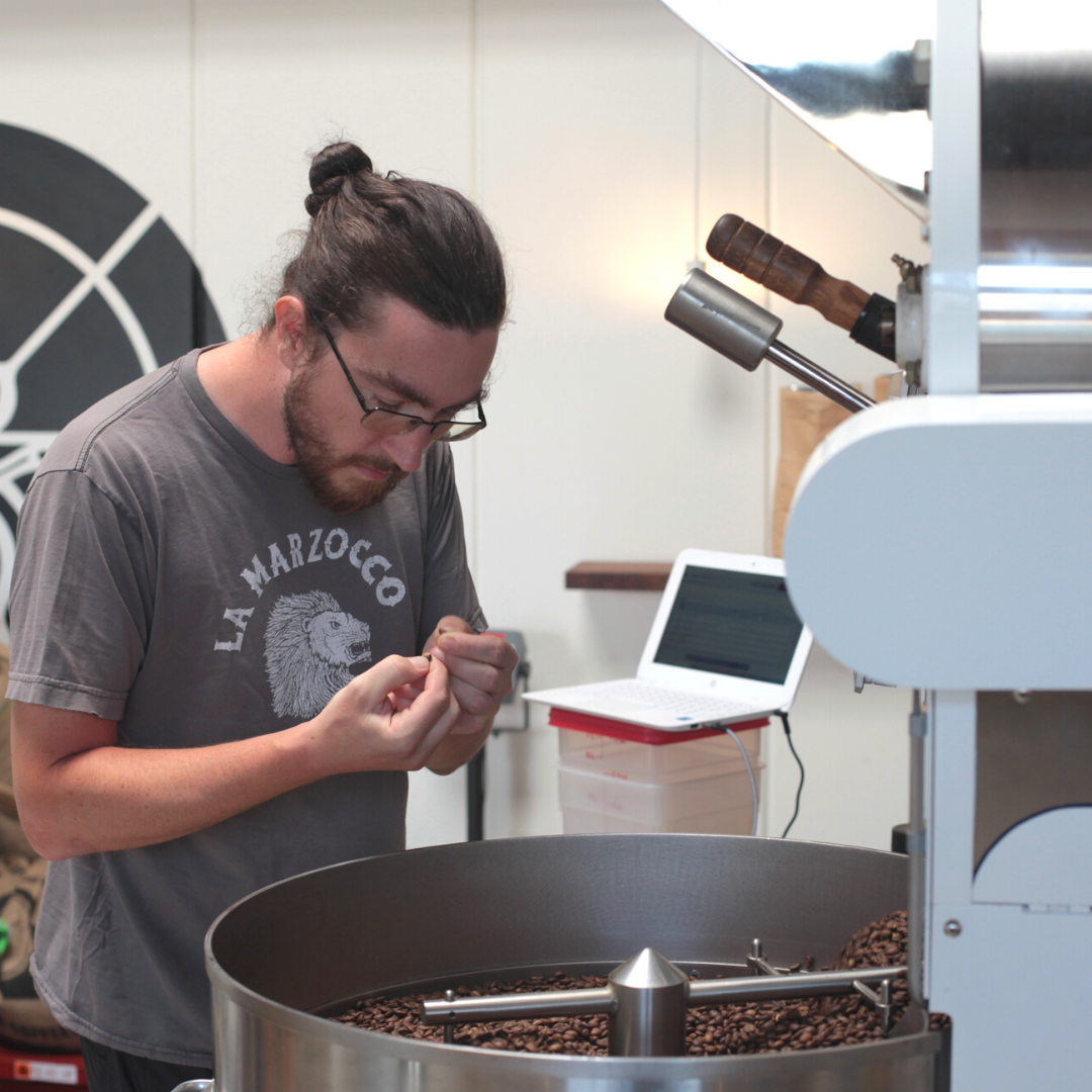 Chris O'Brien of Coffee Cycle Roasting examining coffee beans out of the roaster